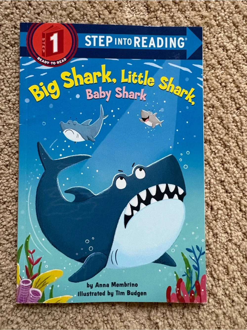 Scholastic illustrated children